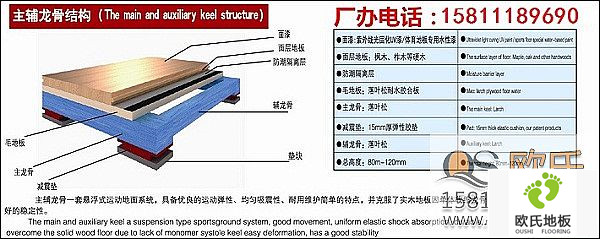 體育木地板區別于其它地板的特點
